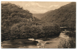 Ligue Des Amis De La Forêt De Soignes - As Ondes - Auderghem - Oudergem