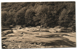 Ligue Des Amis De La Forêt De Soignes - As Ondes - Auderghem - Oudergem