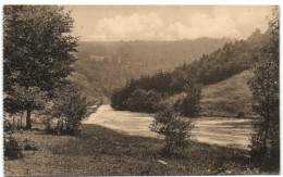 Ligue Des Amis De La Forêt De Soignes - L'Ourthe En Aval Du Moulin De Spitanche - Oudergem - Auderghem