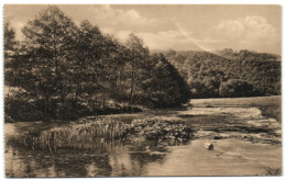 Ligue Des Amis De La Forêt De Soignes - L'Ourthe En Amont Du Moulin De Spitanche - Oudergem - Auderghem