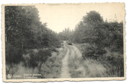 Lanklaer - Door De Bosschen - Dilsen-Stokkem