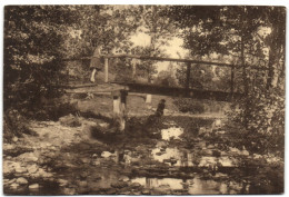 Erezée (Ardennes) - Passerelle Sur L'Aisne - Erezee