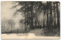 Orroir - (Mont De L'Enclus) - Un Coin Du Bois - Kluisbergen