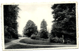 Serinchamps - Oeuvre Nationale De Colonies Scolaires Catholiques - Dunes Et Bruyères - Un Aspect Du Parc - Ciney