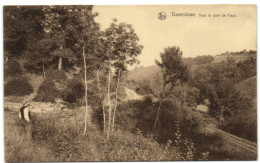 Daverdisse - Vers Le Pont De Fays - Daverdisse