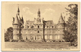 Colonie D'Enfants Débiles De L'Oevre Nationale De L'Enfance à Dongelberg - Le Château - Jodoigne