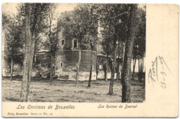 Les Environs De Bruxelles - Les Ruines De Beersel (Nels Série 11 N° 25) - Beersel