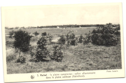 La Plaine Campinoise Vallon Alluvionnaire Dans La Plaine Sableuse (Kalmthout) - Kalmthout