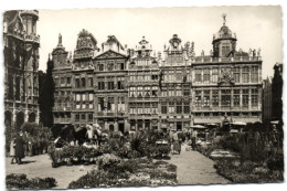 Bruxelles -  Grand'Palce - Marché Aux Fleurs - Bruxelles-ville