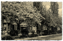 Boitsfort - Le Logis - Cerisiers En Fleurs - Watermael-Boitsfort - Watermaal-Bosvoorde