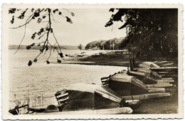 Le Lac De Virelles-lez-Chimay - La Flotille Des Hydroglisseurs - Chimay