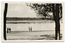 Course D'hydroglisseurs Sur Le Lac De Virelles-lez-Chimay - Chimay