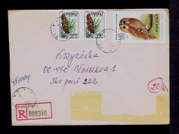 Sp10072 POLOGNE Owls Birds Oiseaux Mailed Ryki »Warzawce - Hiboux & Chouettes