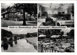 ! 1956 Ansichtskarte Aus Müden / Oertze , Gasthaus - Sonstige & Ohne Zuordnung