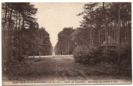 Saint-Martin-de-Boscherville - Forêt De Roumare - Carrefour Du Chêne à Leu - Saint-Martin-de-Boscherville