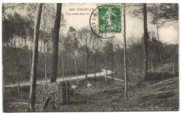 Viroflay - Une Route Dans Le Bois - Viroflay