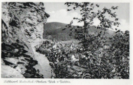 LUFTKURORT LAUTENTHAL OBERHARZ BLICK BIELSTEIN - Langelsheim