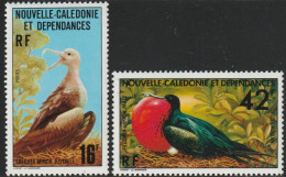 THEMATIC SEA BIRDS: FREGATA MINOR JUVENILE AND FREGATA MINOR MALE   -  NEW CALEDONIA - Albatros & Stormvogels