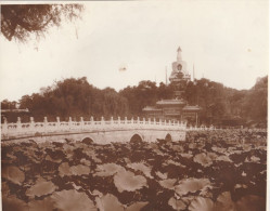 China Old Photograph Size 27cm X 22cm - Asie