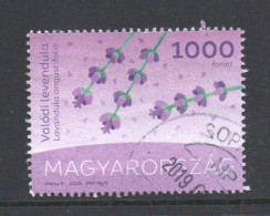 Hongarije 2018 Yv  Zegel Uit Blok 404 Hele Hoge Waarde, Gestempeld - Used Stamps