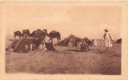 ALGERIE - Scènes Et Types - Campement Dans Le Désert - Carte Postale Ancienne - Scènes & Types