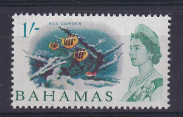 Bahamas: 1965   QE II - Pictorial    SG256   1/-    MH - 1963-1973 Ministerial Government