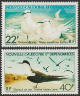 THEMATIC SEA BIRDS:  STERNA SUMATRANA RAFFLES AND STERNA FUSCATA LINNE  -  NEW CALEDONIA - Swallows