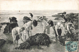 CARTE PHOTO - La Pêche Aux Moules - Animé - Carte Postale Ancienne - Photographs