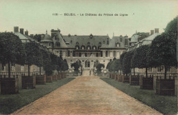 BELGIQUE - Beloeil - Le Château Du Prince De Ligne - Colorisé - Carte Postale Ancienne - Belöil