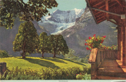 SUISSE - Berne - Grindelwald - Colorisé - Carte Postale Ancienne - Bern