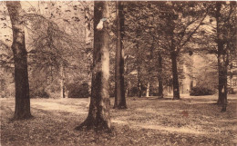 BELGIQUE - Royaume De Belgique - Domaine De Mariemont  - Carte Postale Ancienne - Morlanwelz