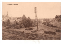 Walcourt Panorama ( Chemin De Fer Ligne 132 ) - Walcourt