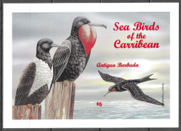 Antigua & Barbuda Oiseaux Frégate Non Dentelé Birds Terns Imperf Proof Vögel Möwen Ungezähnt Aves Uccelli ** 1996 60€ - Pelicans