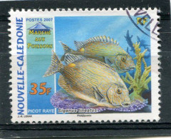 NOUVELLE CALEDONIE  N°  998  (Y&T)  (Oblitéré) - Used Stamps