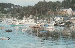 The Annual Casco Bay Tuna Tournament Held At Scenic Mackerel Cove Restaurant And Marina, Bailey Island, Maine - Portland