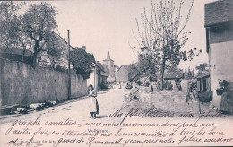 Vullierens VD, Rue De L'Eglise Animée , Route De Grancy (4.11.1901) - Grancy