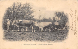 79-LABOUREURS POITEVINS- ARRONDISSEMENT DE MELLE - Melle