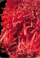 Tasmania Crocoite Chromate De Plomb 1987 Dundas - Otros & Sin Clasificación