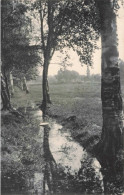 ALLEMAGNE - Bensberg - Reflet De L'arbre Dans L'eau - Carte Postale Ancienne - Bergisch Gladbach