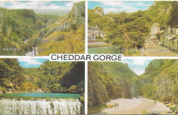 SCENES FROM CHEDDAR GORGE, SOMERSET, ENGLAND. USED POSTCARD   Ag1 - Cheddar