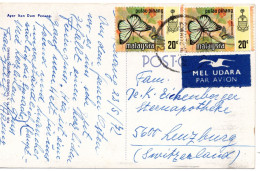 60235 - Malaysia / Pulau Pinang - 1972 - 2@20c Schmetterlinge A LpAnsKte PENANG -> Schweiz - Farfalle