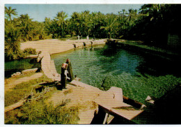 ARABIE SAOUDITE - The Fresh Mineral Fountains That Spread All Over Saudi Arabia - Arabie Saoudite