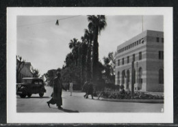 Mini Photo 6.5x9.5cm Jaffa Original By Palphot Palestine Israel Main Post Office - Asie