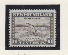 Newfoundland Michel-cat. 178C Zonder Gom - 1908-1947