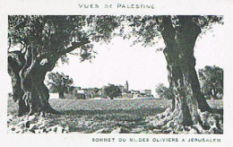 PALESTINE SOMMET DU MONT DES OLIVIERS A JERUSALEM - Palestine