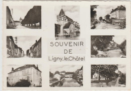 CPSM   Souvenir De LIGNY LE CHATEL 89 - Ligny Le Chatel