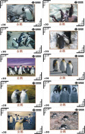 A12002 China Phone Cards Penguin 190pcs - Otros & Sin Clasificación