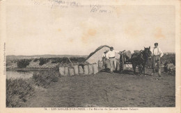 Les Sables D'olonne * La Récolte Du Sel Aux Marais Salants * Paludiers Attelage - Sables D'Olonne