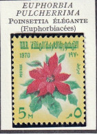 EGYPTE - Fleurs, Flowers, Poinsettia élégante - Y&T N° 801 - 1970 - MNH - Neufs