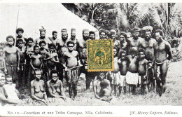 NOUVELLE CALEDONIE -.Cocotiers Et Une Tribu Canaque.  Carte  Vierge , Impeccable - Nouvelle Calédonie